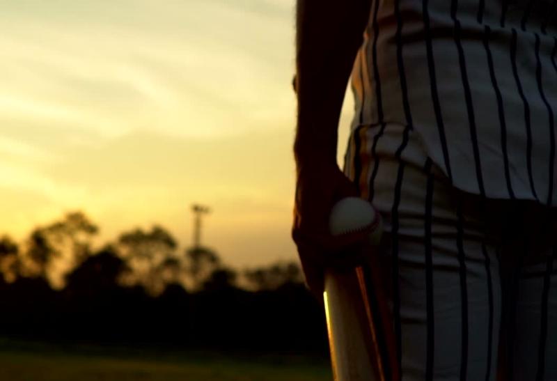 Why Do Baseball Players Eat Sunflower Seeds NG Baseball