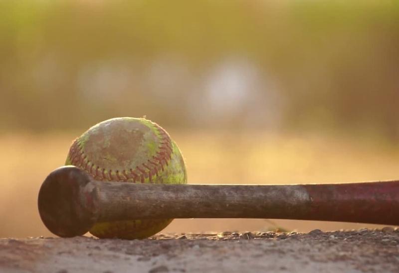 Why Do Baseball Players Eat Sunflower Seeds NG Baseball