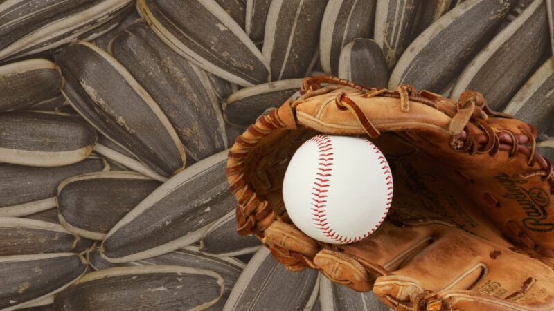 tradition of eating sunflower seeds in baseball